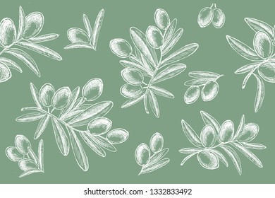 Olives hand drawn isolated.