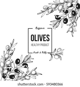 Olives hand drawn vector illustration. Healthy and organic food design template. Vintage style image.