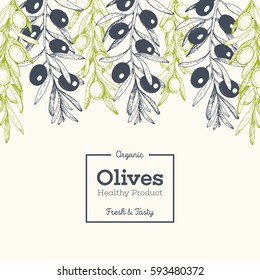 Olives hand drawn vector illustration. Healthy and organic food design template. Vintage style image.