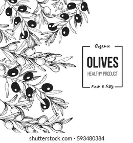 Olives hand drawn vector illustration. Healthy and organic food design template. Vintage style image.