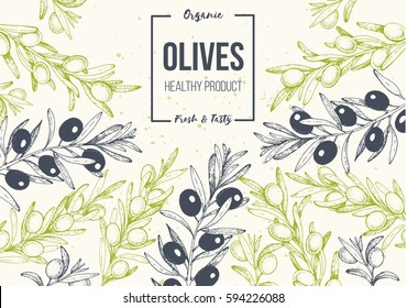 Olives hand drawn vector illustration. Healthy and organic food design template. Vintage style image.