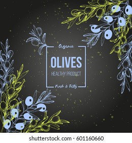 Olives hand drawn vector illustration. Healthy and organic food design template. Vintage style image. Engraved illustration
