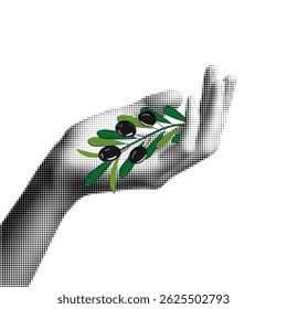 Azeitonas em mãos, ilustração de meio-tom de mãos segurando azeitonas ternamente, textura pontilhada preto e branco, estilo de arte pop retro design isolado no fundo branco, conceito de frutas de verão. Vetor