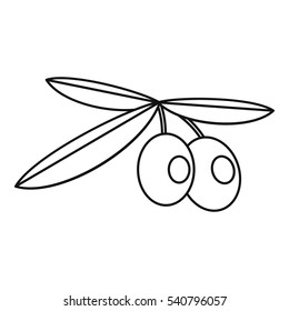 Olives icon. Outline illustration of olives vector icon for web