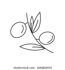 Olives icon. Outline olives vector icon for web design isolated on white background