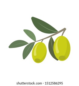 olives isolated on white background. Vector illustration. Eps 10. 
