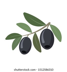 olives isolated on white background. Vector illustration. Eps 10. 