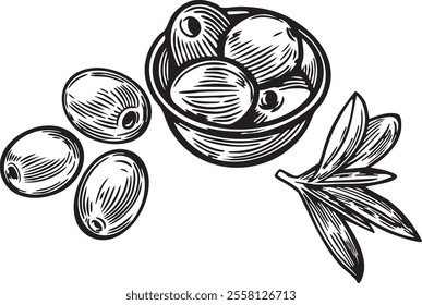 Olives and kitchen utensils line drawing isolated on white background.