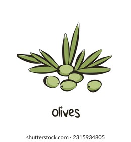 Olives with leaves in cartoon flat style with outline. Olives icon isolated on white background. Vector.