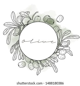 Olives and leaves, frame logo, vector