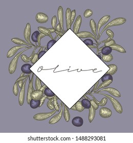 Olives and leaves, frame logo, vector