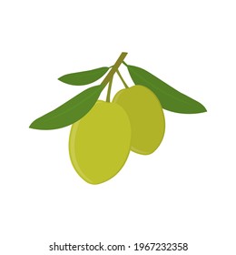 Icono de aceitunas con hojas. Rama de aceitunas. Ilustración vectorial.