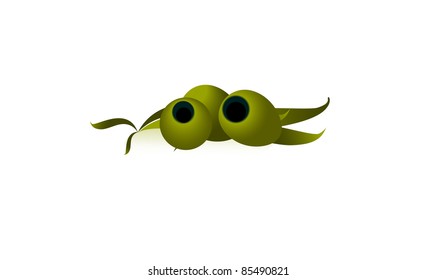 Olives with leaves on white background, vector illustration
