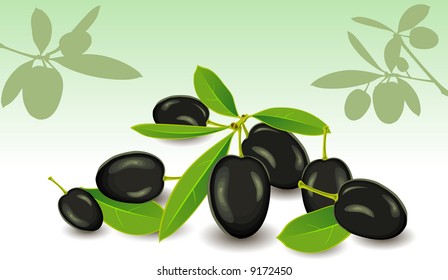 Olives with leaves on white background, vector