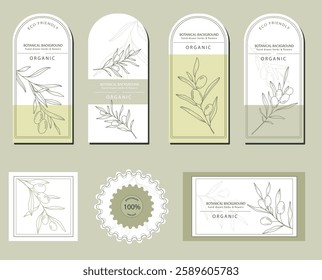 Olives Line Art. Olives Labels. Organic Shop banner. Botanical Background trendy minimalist olive branches. Olives banner template. Floral Line Art Illustration. 