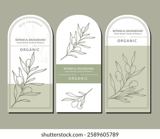 Olives Line Art. Olives Labels. Organic Shop banner. Botanical Background trendy minimalist olive branches. Olives banner template. Floral Line Art Illustration. 