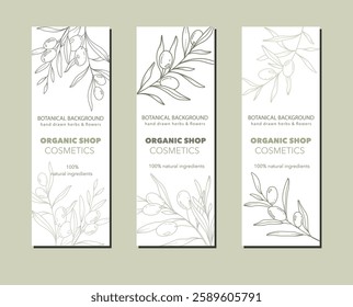 Olives Line Art. Olives Labels. Organic Shop banner. Botanical Background trendy minimalist olive branches. Olives banner template. Floral Line Art Illustration. 