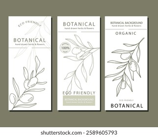 Olives Line Art. Olives Labels. Organic Shop banner. Botanical Background trendy minimalist olive branches. Olives banner template. Floral Line Art Illustration. 