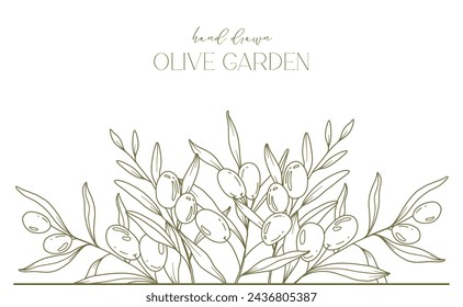 Olives Line Drawing. Black and white Olive Frame. Olive Wreath Isolated. Floral Line Art. Fine Line Olive  illustration. Black and white Olive Branches. Hand Drawn Olives. Wedding invitation greenery