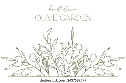 Olives Line Drawing. Black and white Olive Frame. Olive Wreath Isolated. Floral Line Art. Fine Line Olive  illustration. Black and white Olive Branches. Hand Drawn Olives. Wedding invitation greenery