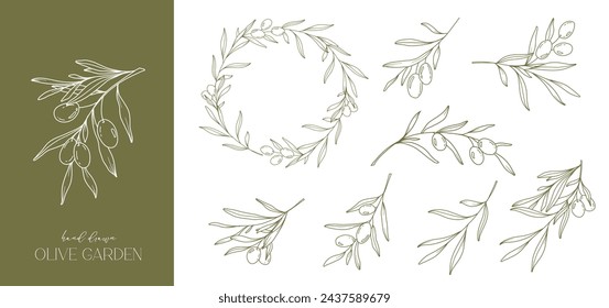 Olives Line Drawing. Black and white Olive Frame. Olive Wreath Isolated. Floral Line Art. Fine Line Olive  illustration. Black and white Olive Branches. Hand Drawn Olives. Wedding invitation greenery