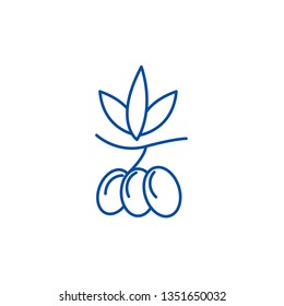 Olives line icon concept. Olives flat  vector symbol, sign, outline illustration.