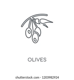 Olives linear icon. Olives concept stroke symbol design. Thin graphic elements vector illustration, outline pattern on a white background, eps 10.