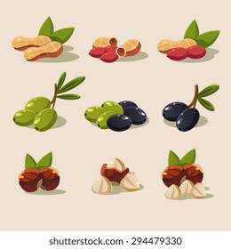Olives and nuts, vector illustration modern design set