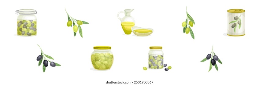 Olives with Oil Glass Jug, Canned Jar and Branch Vector Set