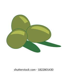 olives oil and leaves vector design