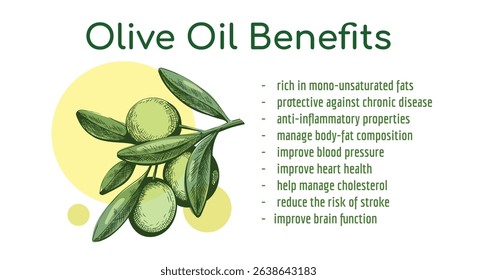Olives oil retro benefits poster. Olive product isolated vector illustration