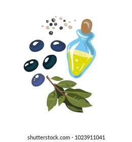 Olives with olive branch and olive oil isolated on white fon. Hand drawn on style pop art, cartoon. Vector illustration