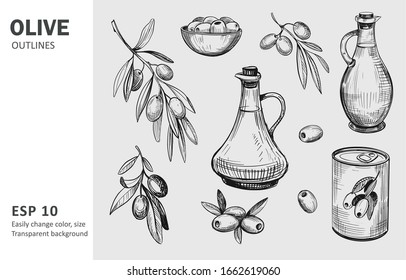 Olives, olive branch, olive oil. Vector sketches with transparent background