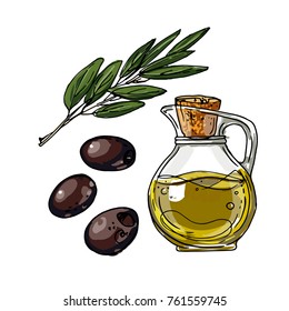 Olives and olive oil. A sketch of food on a white background. Vector drawing line.