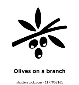 Olives on a branch icon vector isolated on white background, logo concept of Olives on a branch sign on transparent background, filled black symbol