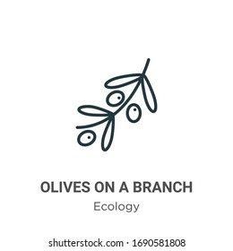 Olives on a branch outline vector icon. Thin line black olives on a branch icon, flat vector simple element illustration from editable ecology concept isolated stroke on white background