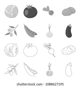 Olives on a branch, peas, onions, eggplant. Vegetables set collection icons in outline,monochrome style vector symbol stock illustration web.