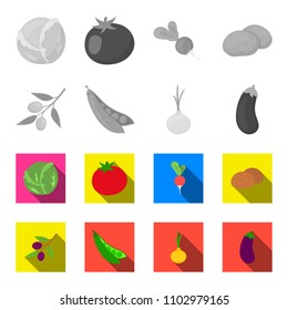 Olives on a branch, peas, onions, eggplant. Vegetables set collection icons in monochrome,flat style vector symbol stock illustration web.