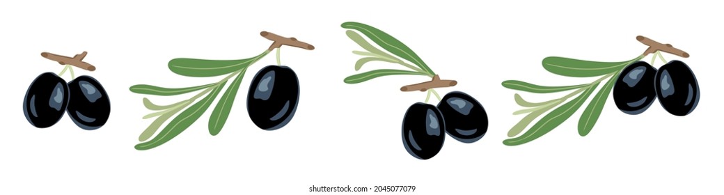 Olives on a branch set. Vector illustration. A concept for stickers, posters, postcards, websites