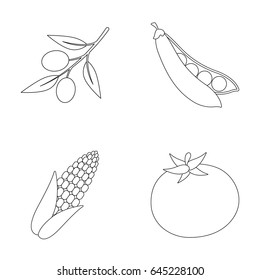 Olives on a branch, sweet peas, corn cob, tomato. Vegetables set collection icons in outline style vector symbol stock illustration web.