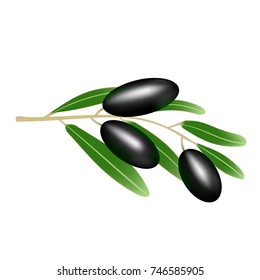 olives on the branches