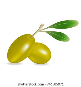 olives on the branches