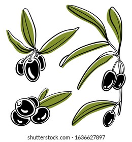 Olives on branches with leaves collection. Colorful sketch of vegetables isolated on white background. Doodle hand drawn vegetables. Vector illustration