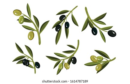 Olives on Branches Vector Set. Eco Ingredient for Salads