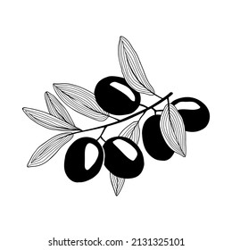 olives on a twig drawing