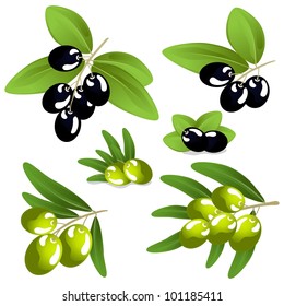 olives on a white background