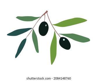 Olives on a white background. Vector color illustration. For social networks, postcards, advertising, printing.