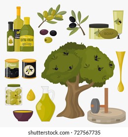 Olives products branch organic plant ingredient nature oil agriculture fresh vegetable vector illustration