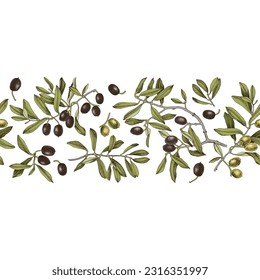 Olives seamless border. Floral illustration