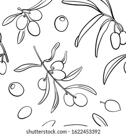 Olives. Seamless pattern. Black line sketch of olives and olive branches isolated on white background. Doodle hand drawn vegetables. Vector illustration